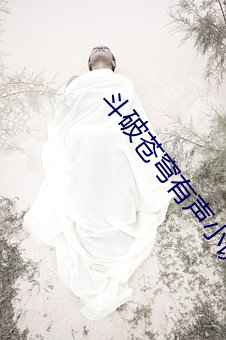 斗破苍穹有声小说