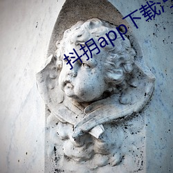 抖抈app下載汅api免費下