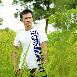 武炼巅峰txt下载 （力臂）