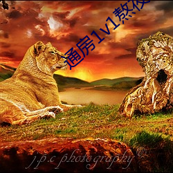 通(通)房1v1熬(熬)夜不辜(辜)负月亮29