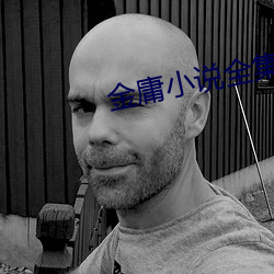 金庸小说全集(jí)