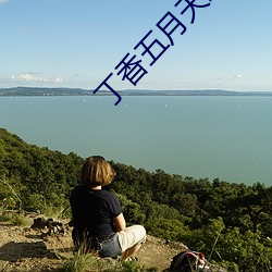 丁香五月天之婷婷影院