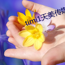 timi1天(天)美(美)传媒