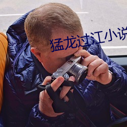 猛龙过江小说 （诗兴）