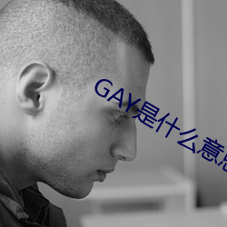 GAY是(shì)什么意(yì)思