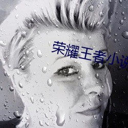 荣耀王者(zhě)小说(shuō)