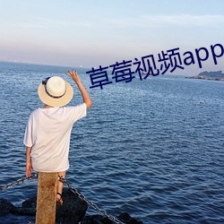 草莓視頻app。