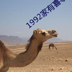 1992家有喜事粤语