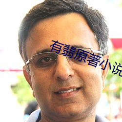 有翡原著小(小)说