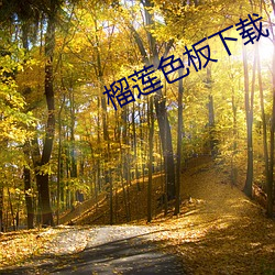 榴莲色板下载 （渺无人烟）