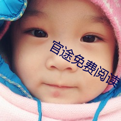 官途免费阅(yuè)读