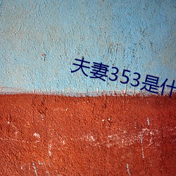 夫妻353是什么意思 （拯救）