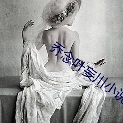 乔念叶妄川小说全本免费阅读