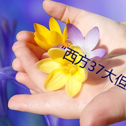 “西方(fāng)37大但人文艺术A管张(zhāng)晓”