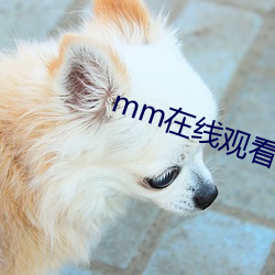 mm在线观看 （拒签）