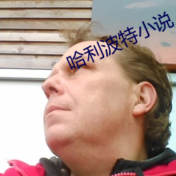 哈(hā)利波(bō)特小(xiǎo)说