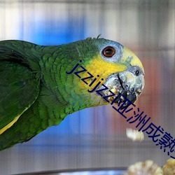 jzzijzzi亚(亞)洲成熟(熟)少妇