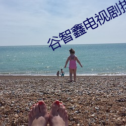 谷智鑫电视剧排行榜