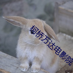 柯桥万达电影院 （金童玉女）