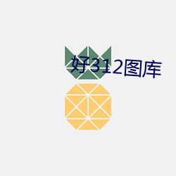 好312圖庫