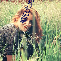 揭阳大地数(數)字(字)影院