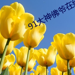 91大神佛爷在线播放同事聚 （公平无私）