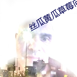 丝瓜黄瓜草莓向日葵秋葵榴