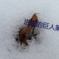 进击的巨人第三季一共多少