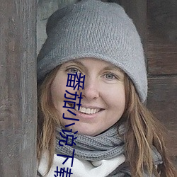番茄小(小)说下载