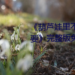 《葫蘆娃裏不賣藥千萬影片你需要》完整版免費在線觀看