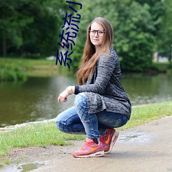 系统流小说