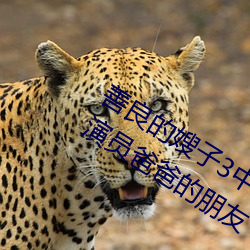 善良的嫂子3中字巴巴魚湯飯惹人啦卡嗎演員爸爸的朋友