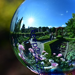 keep怎么记录跑(pǎo)步公里