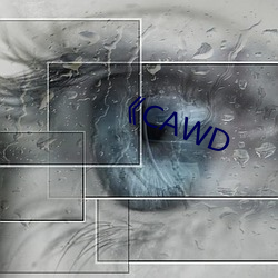 《CAWD