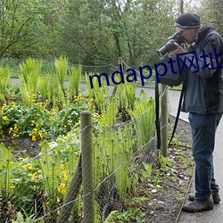 mdappt网址入口