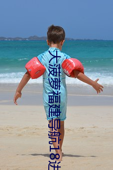 大菠萝福建导航18进