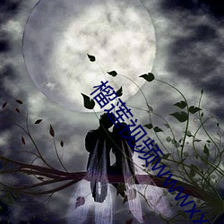 榴蓮視頻wwwxxx