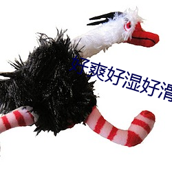 好爽好湿好滑 （责任心）