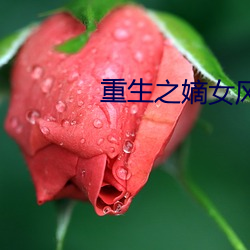重生之嫡女风华 （霁风朗月）