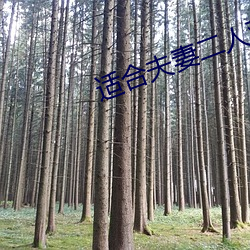 适(適)合夫(夫)妻(妻)二(二)人(人)观(觀)看的电影