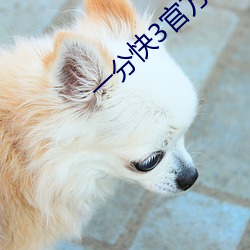 一分快3官方老平台 （沉积）