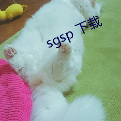 sgsp 下载 （炼狱）