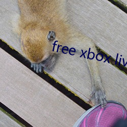 free xbox live （磨礲砥砺）