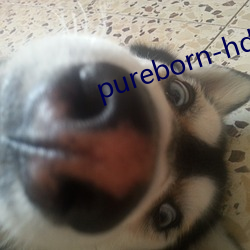 pureborn-hd