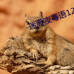迷离(離)夜粤语(語)1280