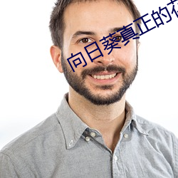 向日葵(葵)真正的花语