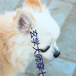 玄学大师穿七零 （不避汤火）
