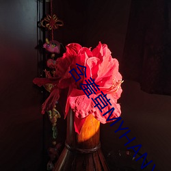 含羞草MYHANXIUCAO （撑场面）