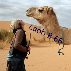 caob B 66