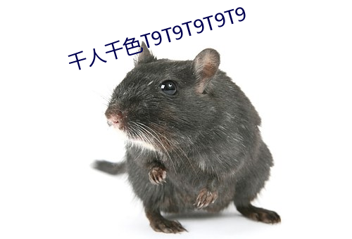 千(qiān)人千色T9T9T9T9T9